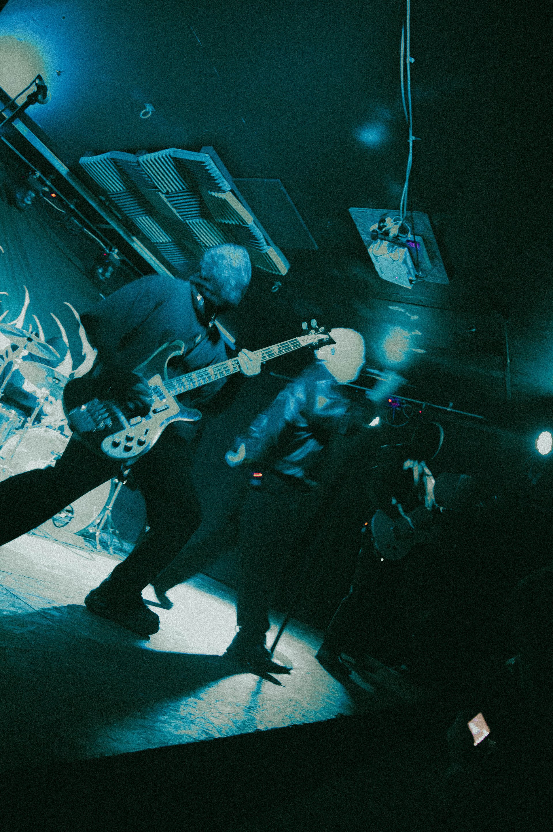 Concert | Bassiste, Sunborn