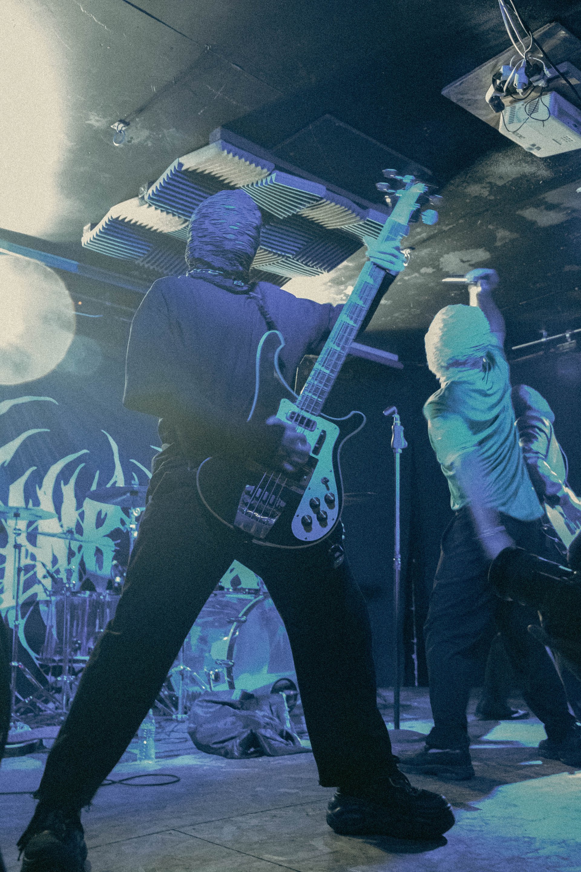 Concert | Bassiste, Sunborn