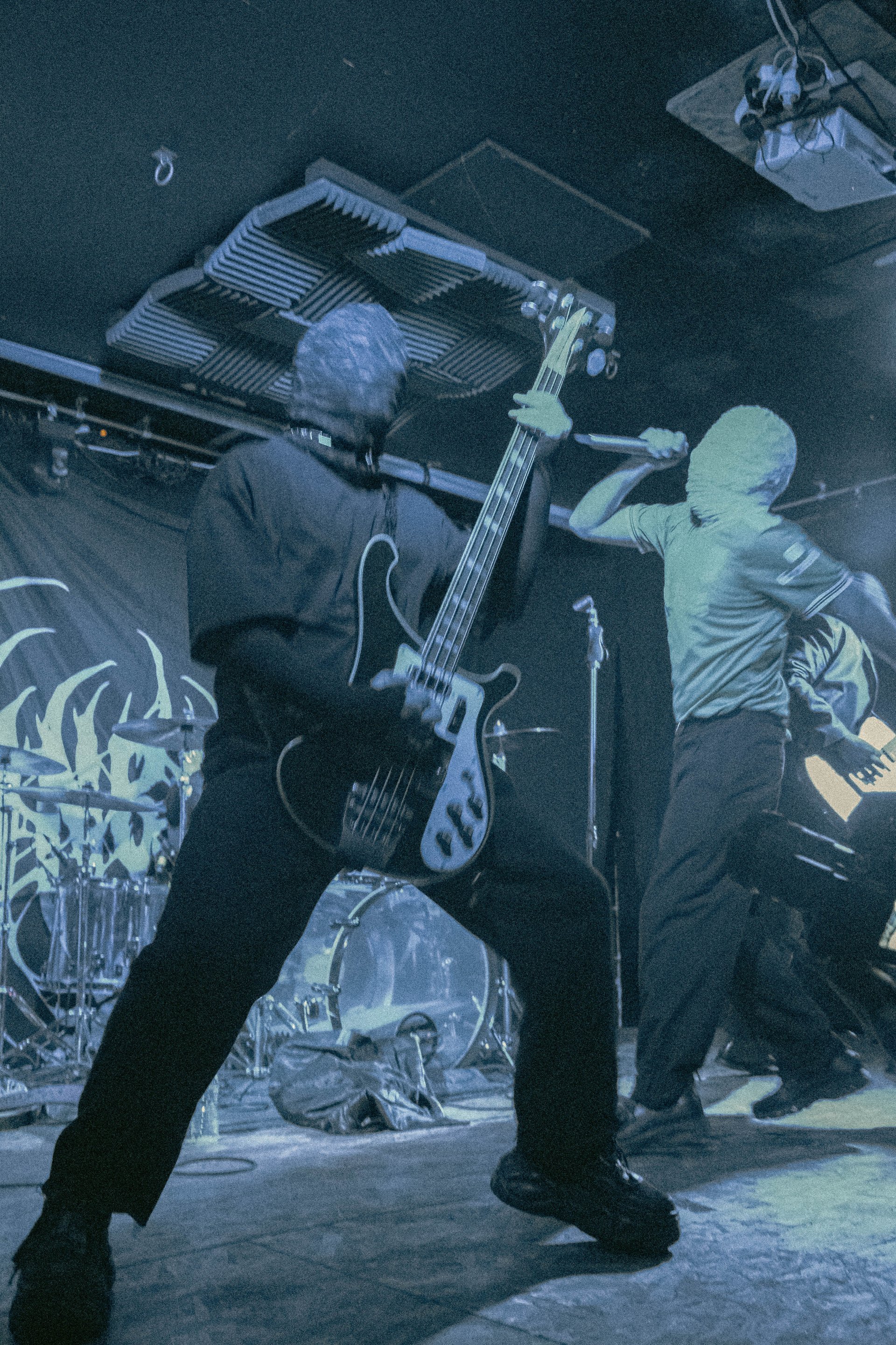 Concert | Bassiste, Sunborn