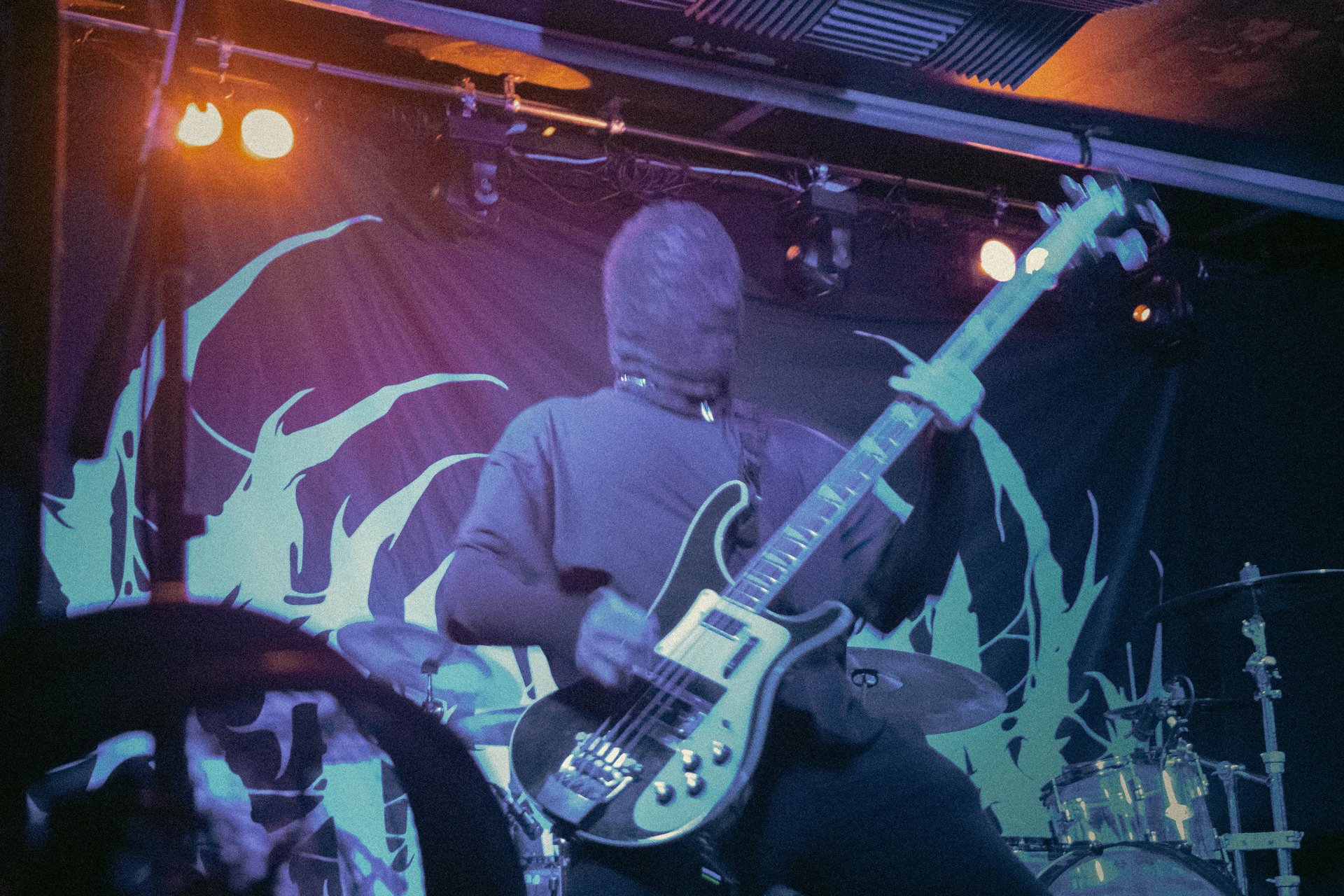 Concert | Bassiste, Sunborn