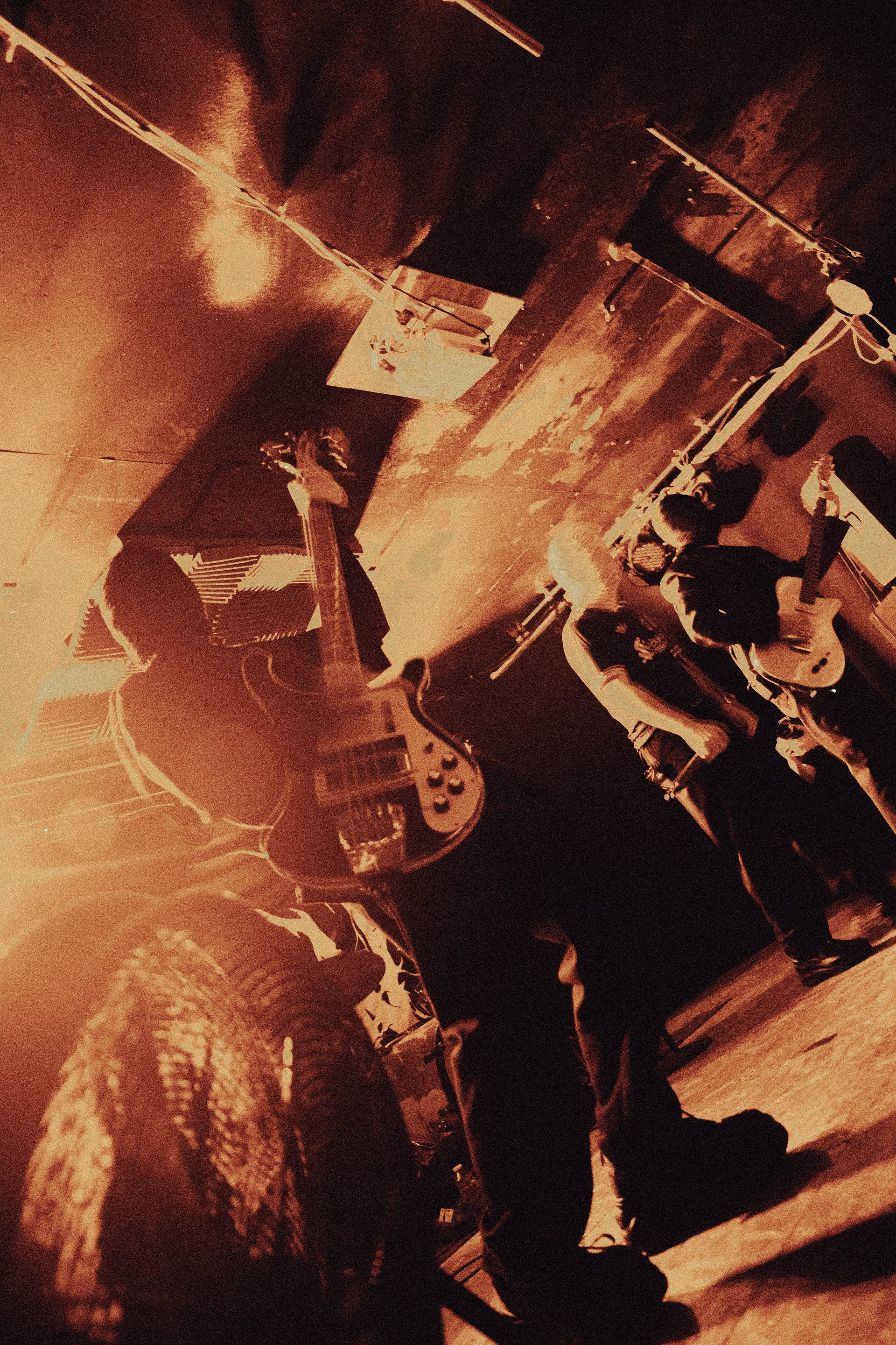 Concert | Bassiste, Sunborn