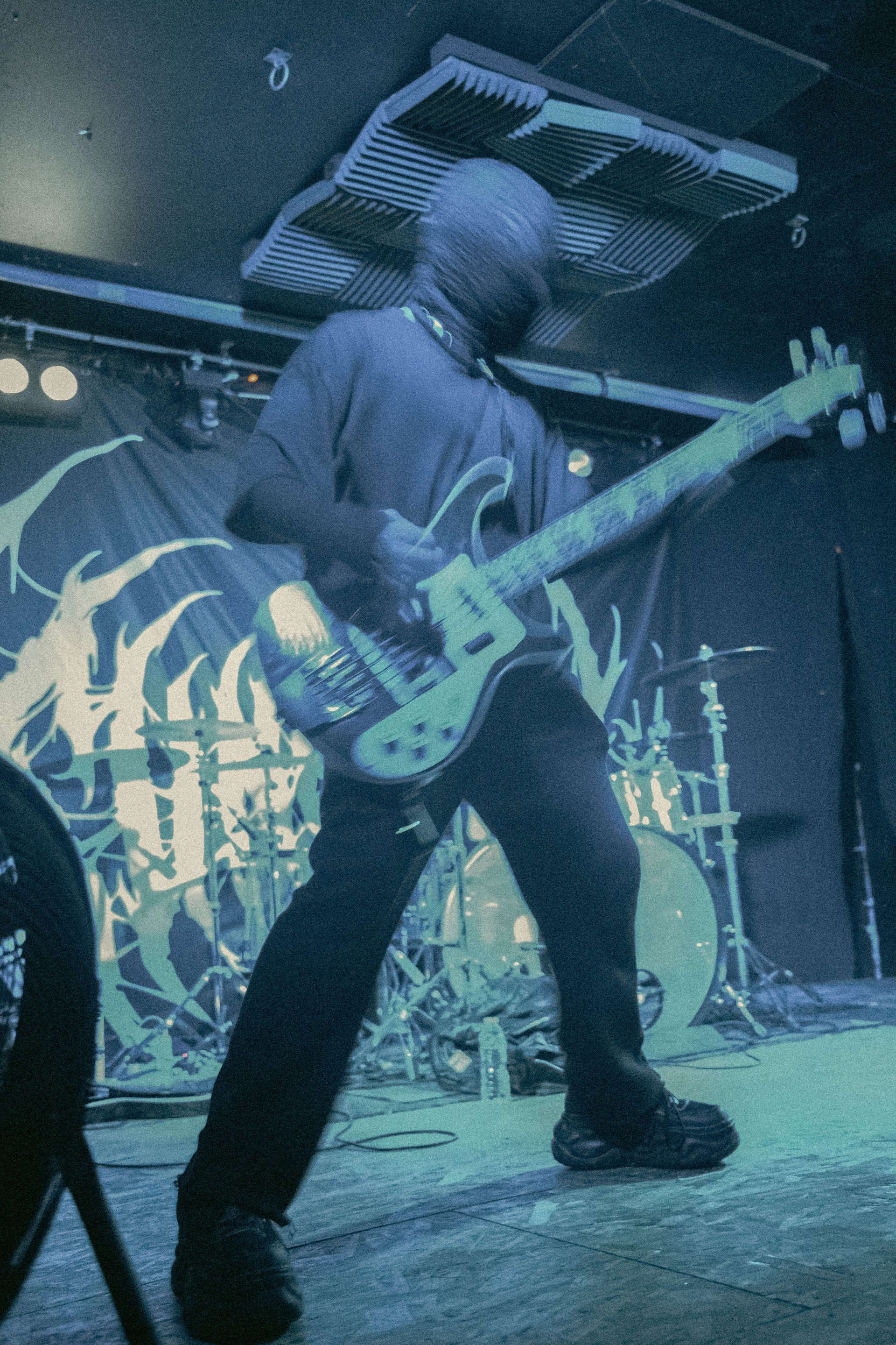 Concert | Bassiste, Sunborn