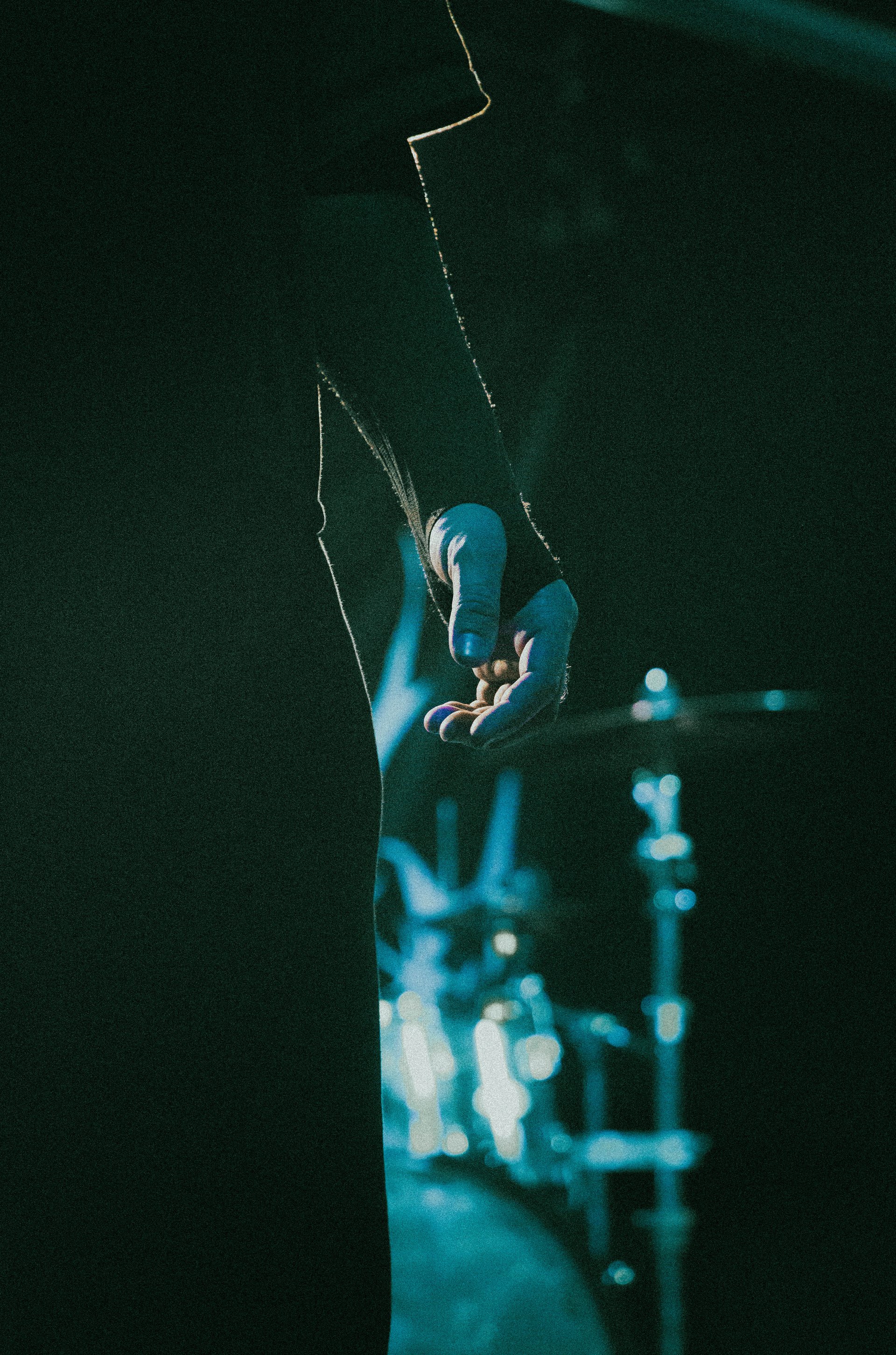Concert | Bassiste, Sunborn