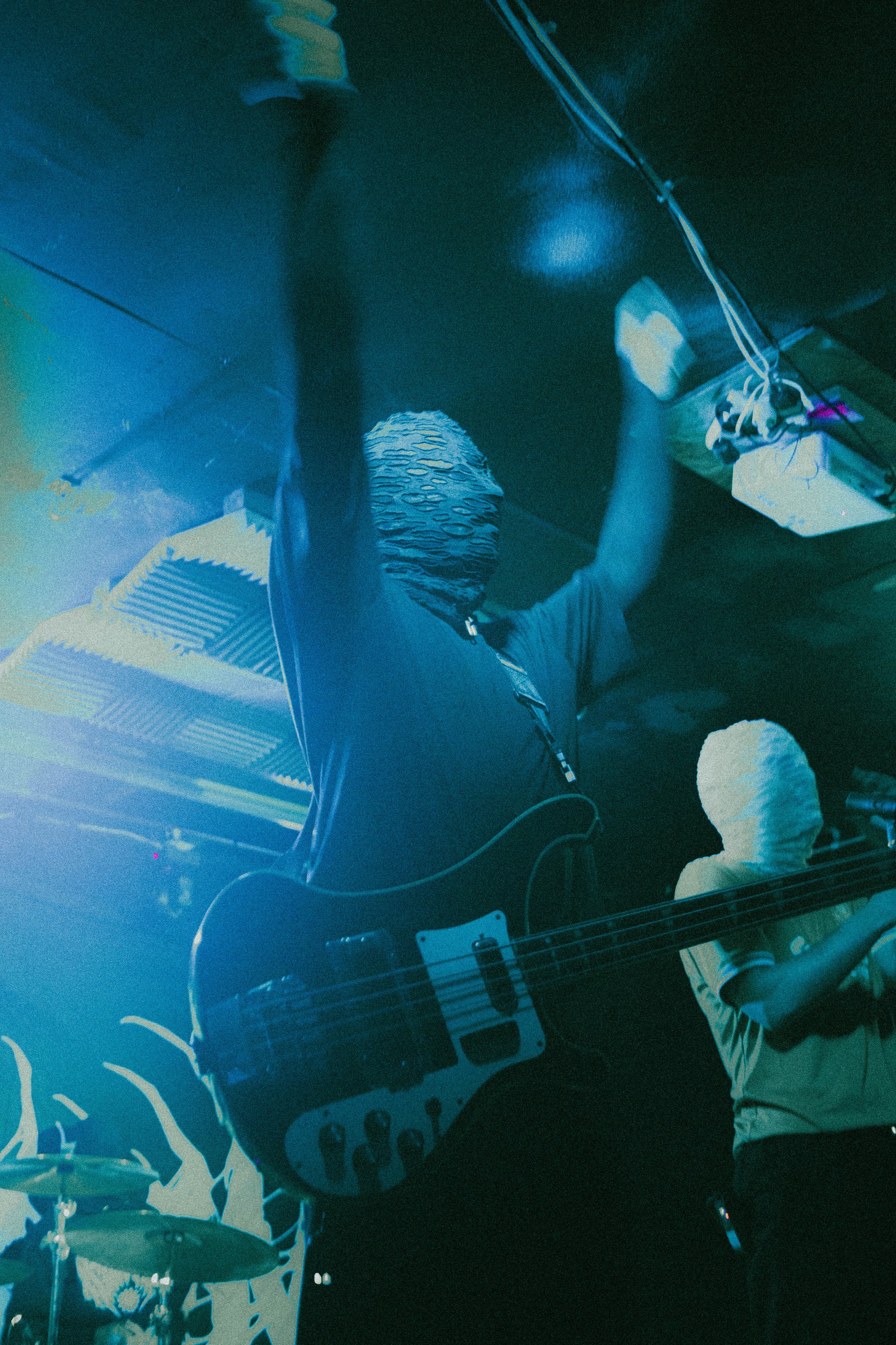 Concert | Bassiste, Sunborn