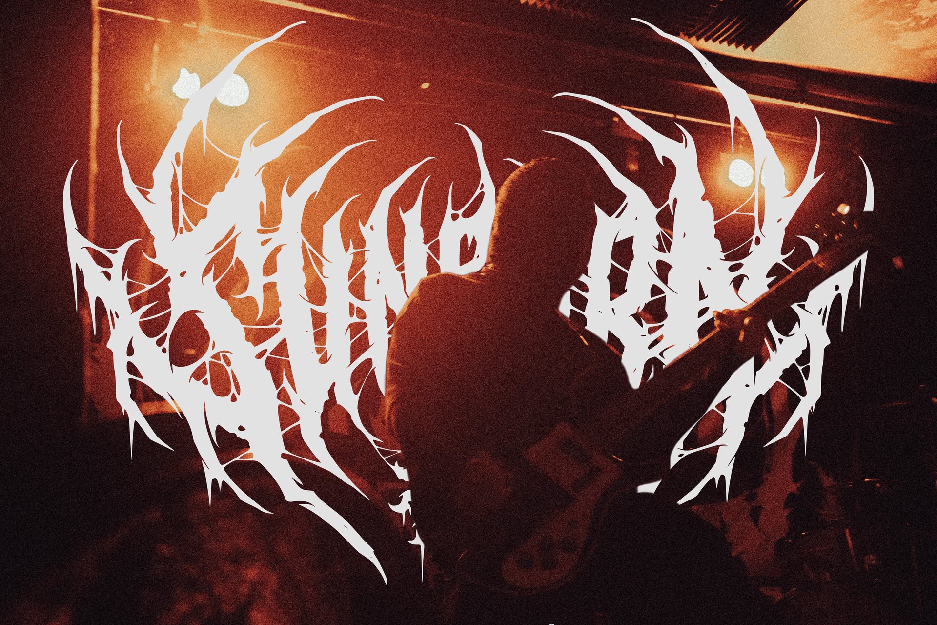 Concert | Bassiste, Sunborn