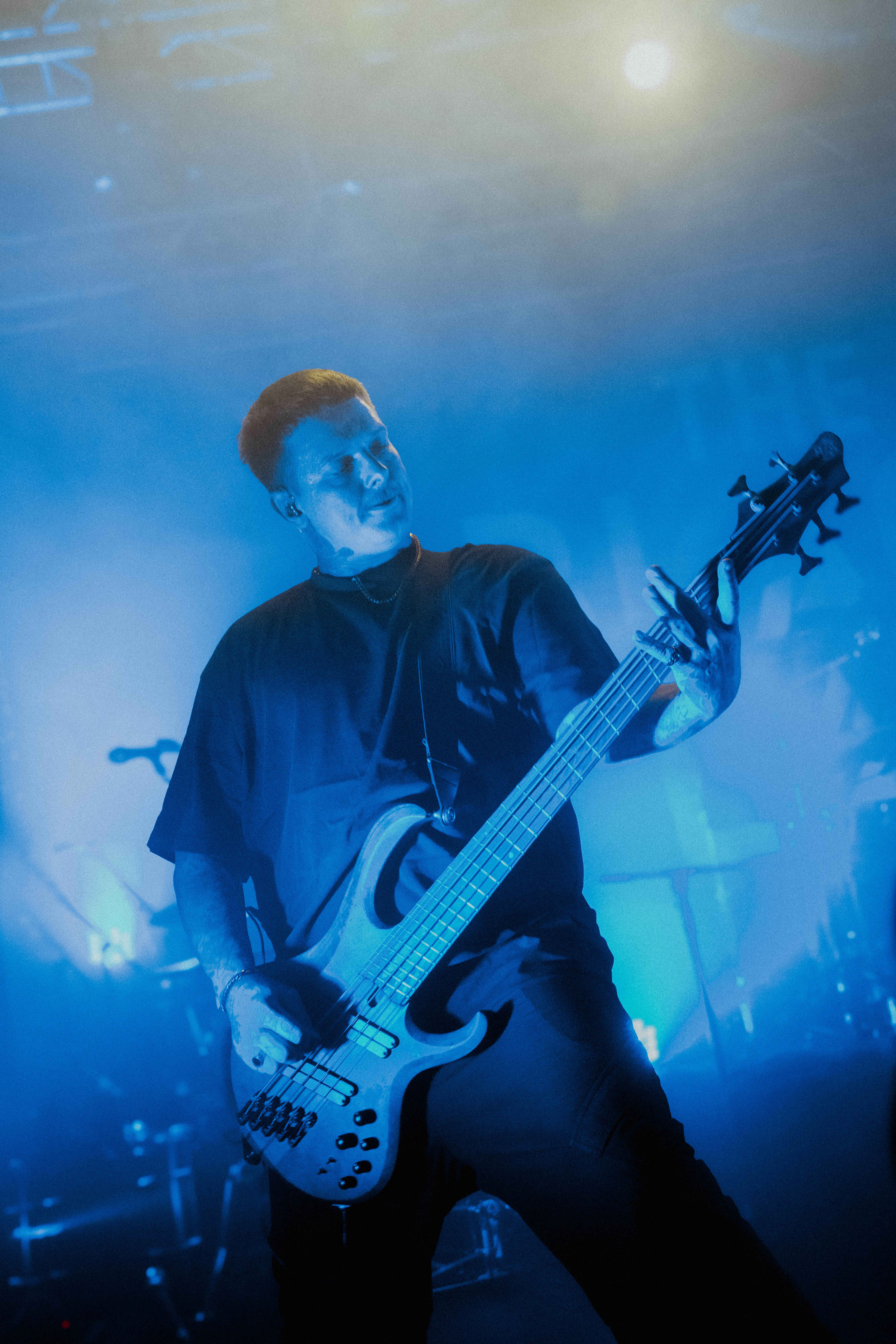 Concert | Diesect