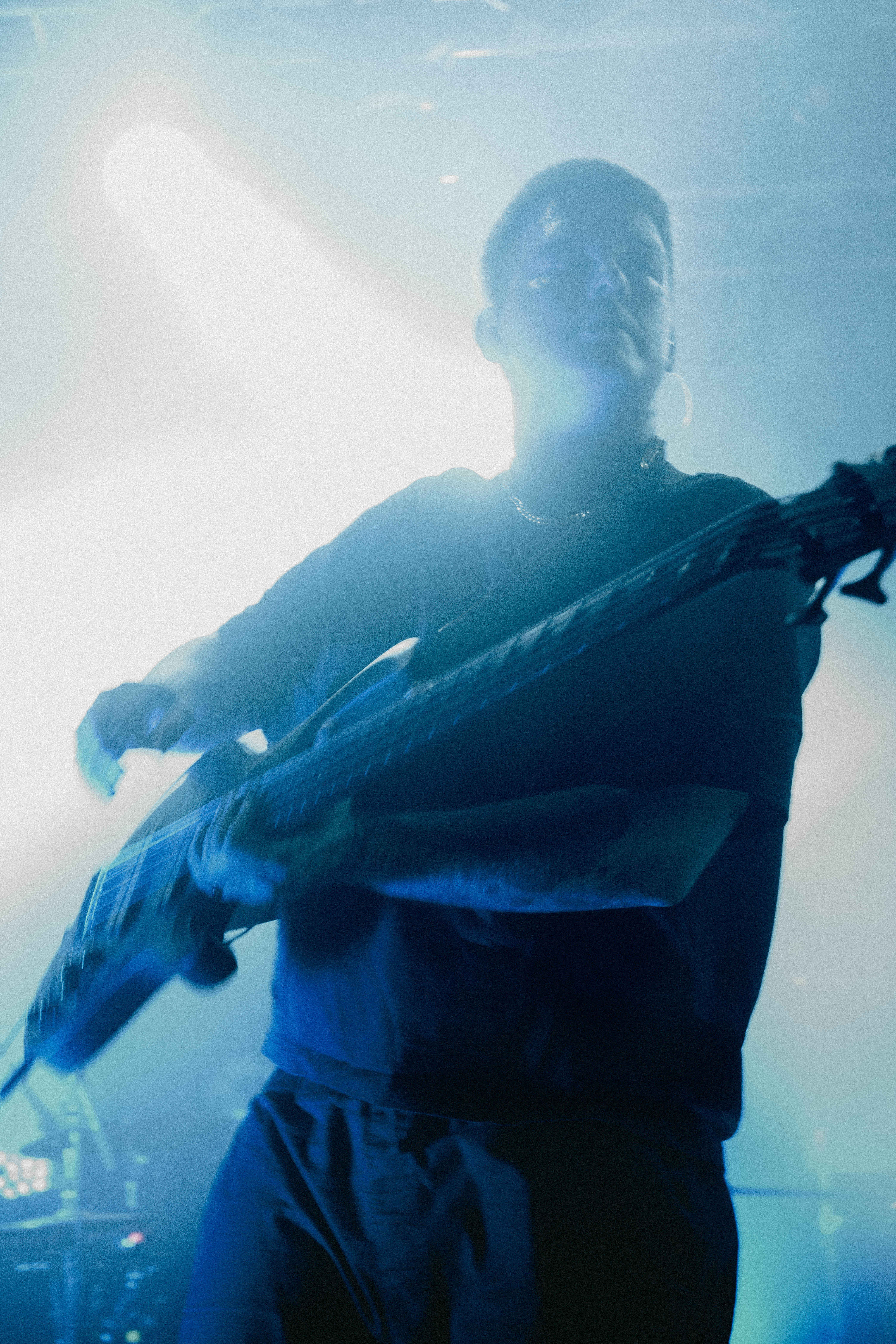 Concert | Diesect