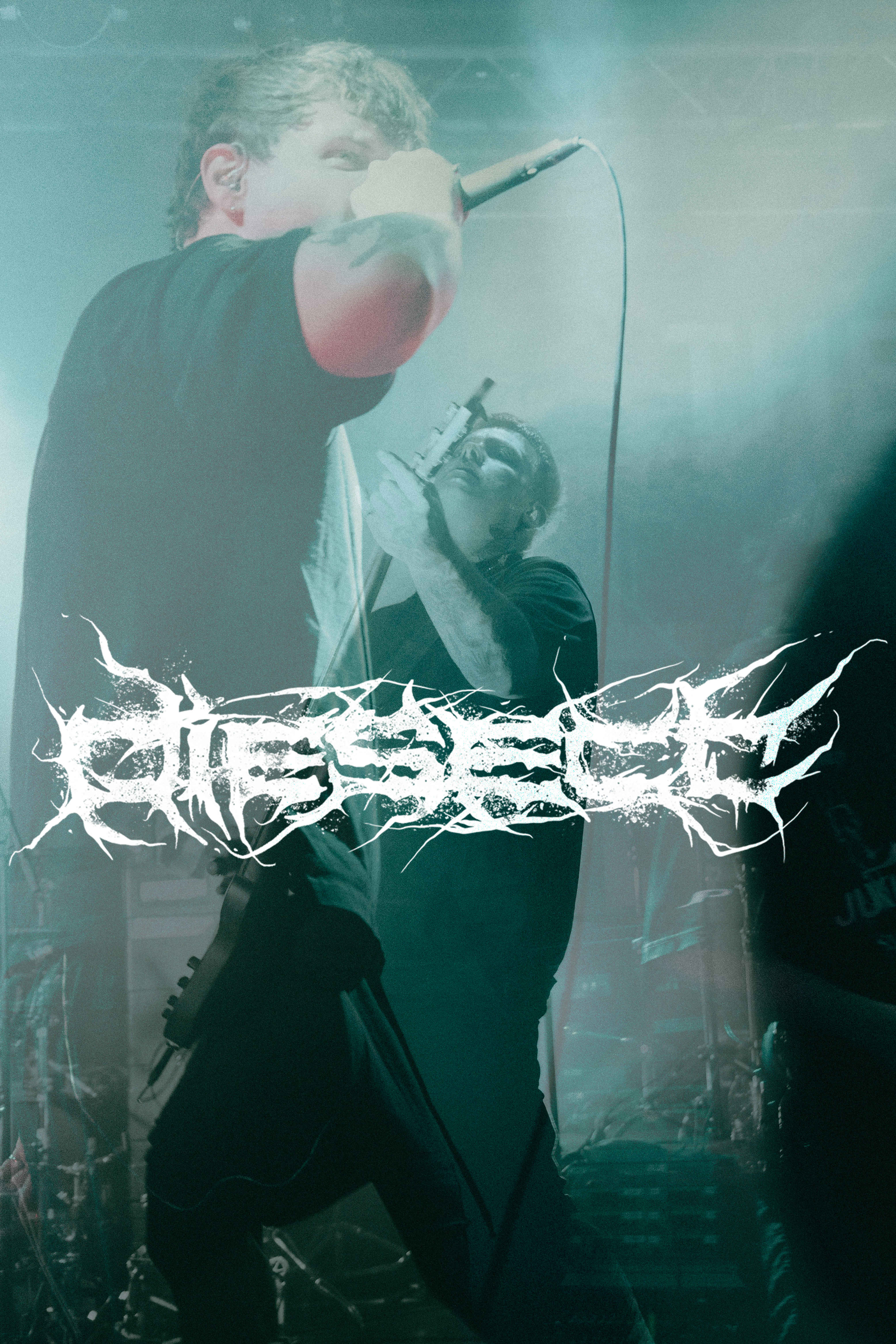Concert | Diesect