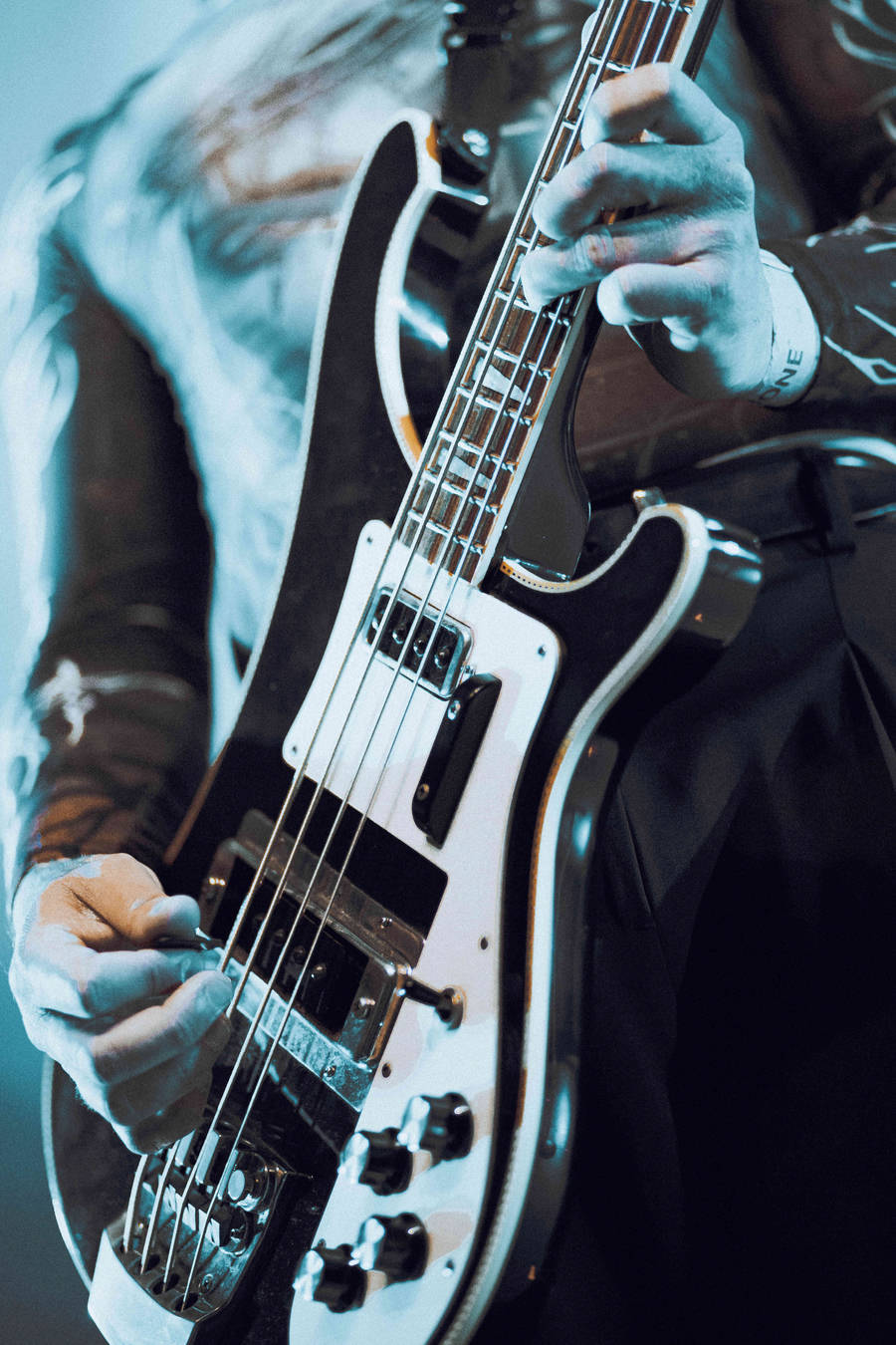 Concert | Sunborn