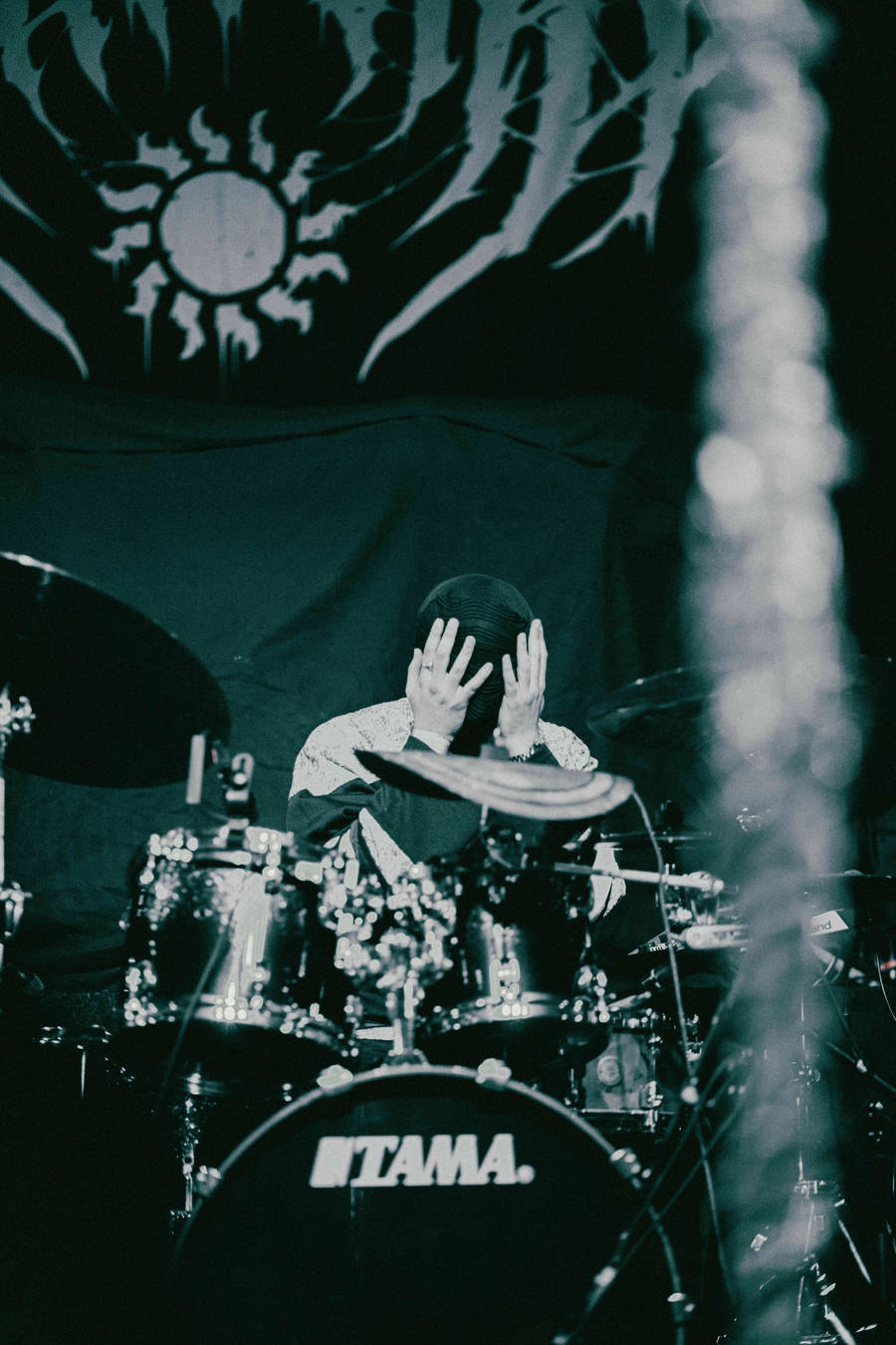 Concert | Sunborn
