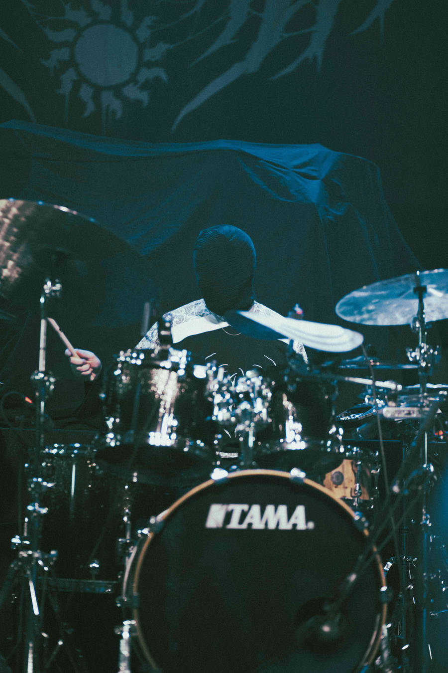 Concert | Sunborn
