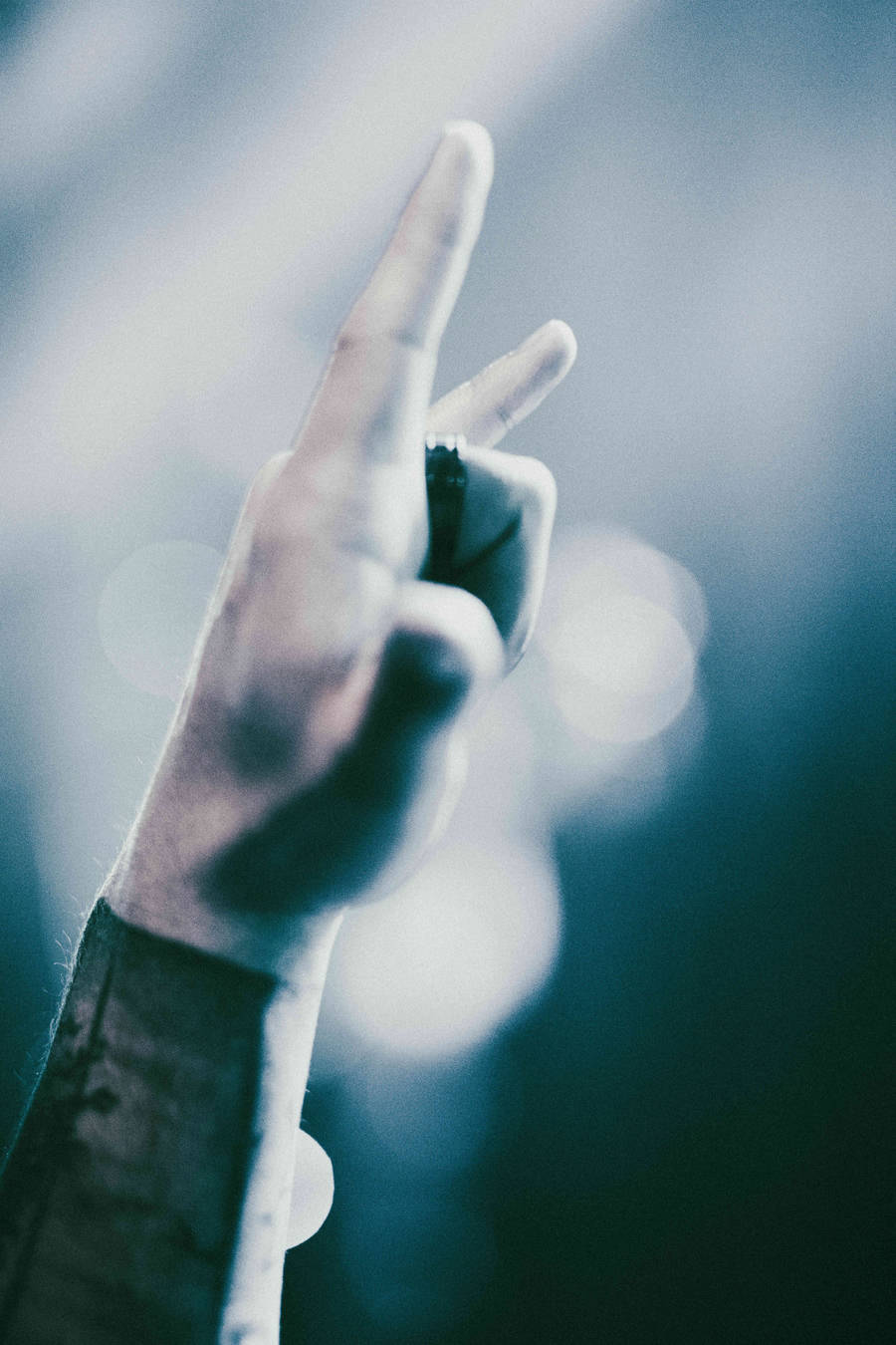 Concert | Sunborn