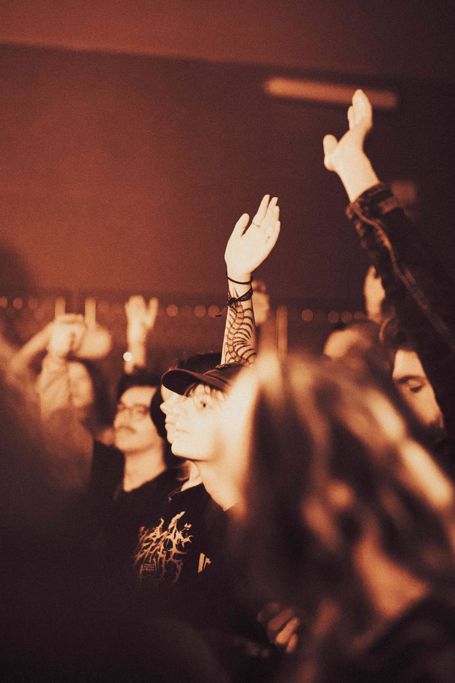 Concert | Sunborn