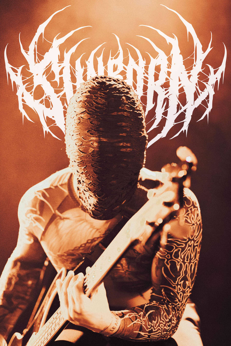 Concert | Sunborn