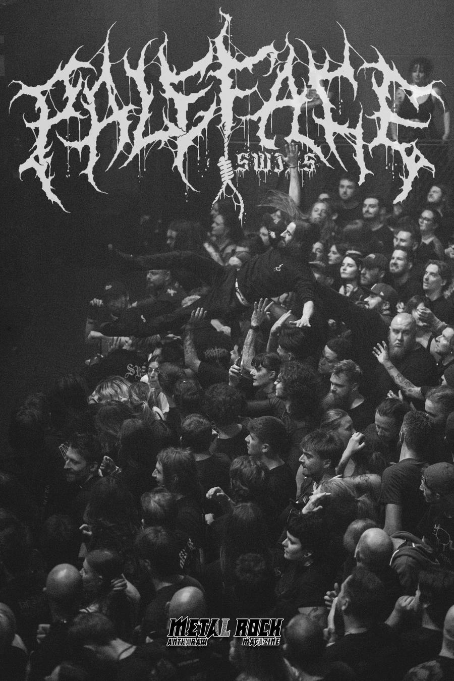 Concert | Paleface Swiss