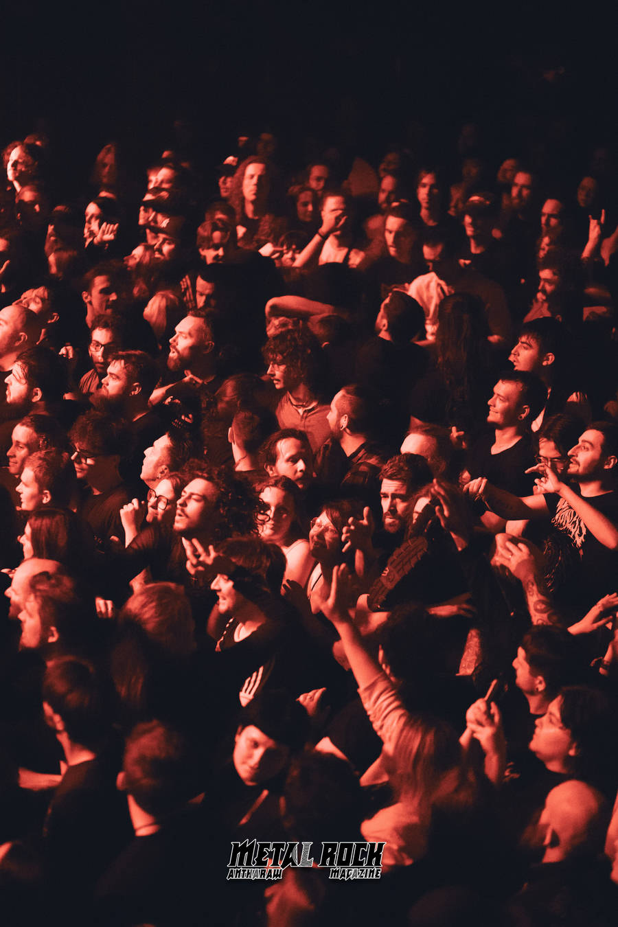 Concert | Paleface Swiss