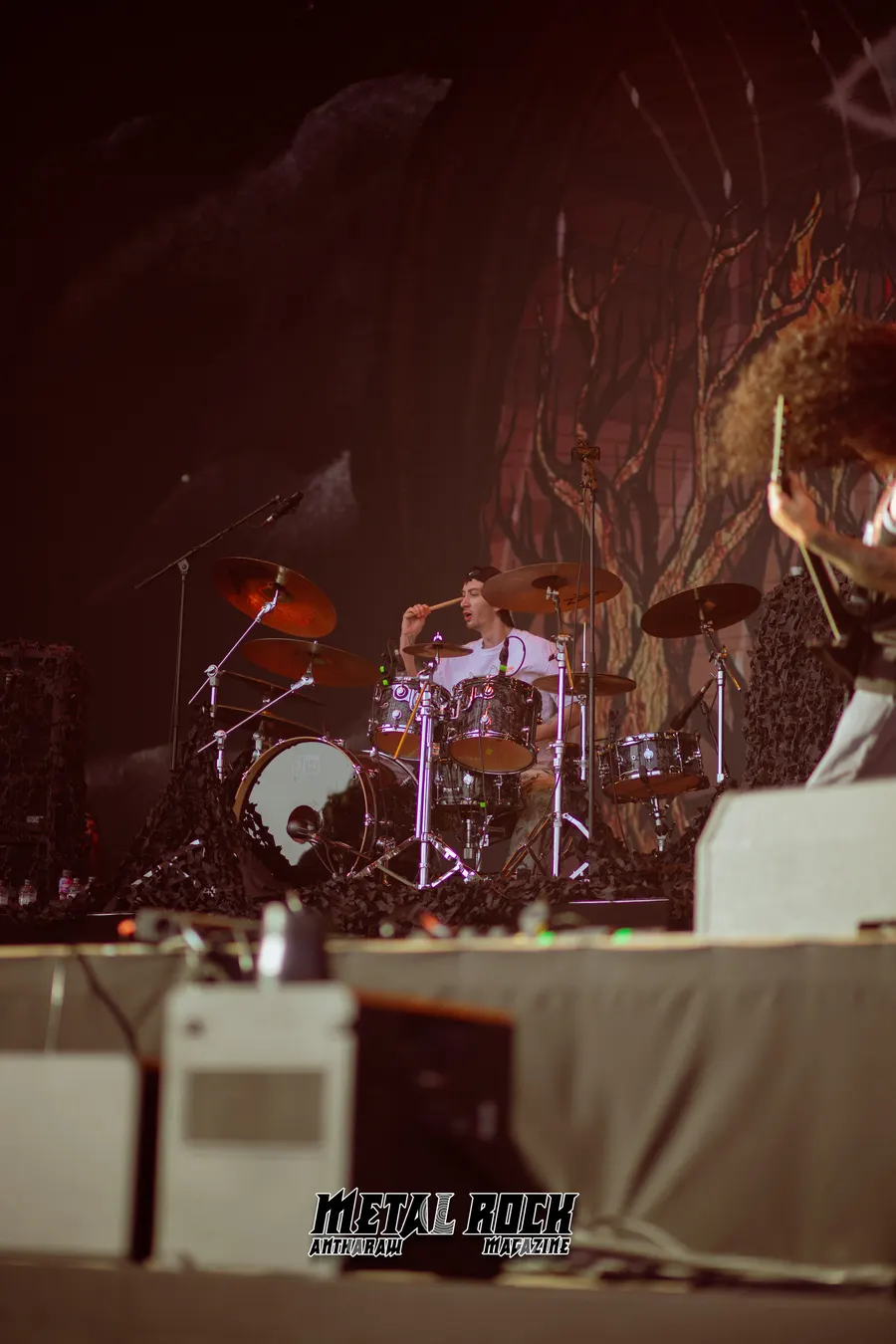 Concert | Soulfly