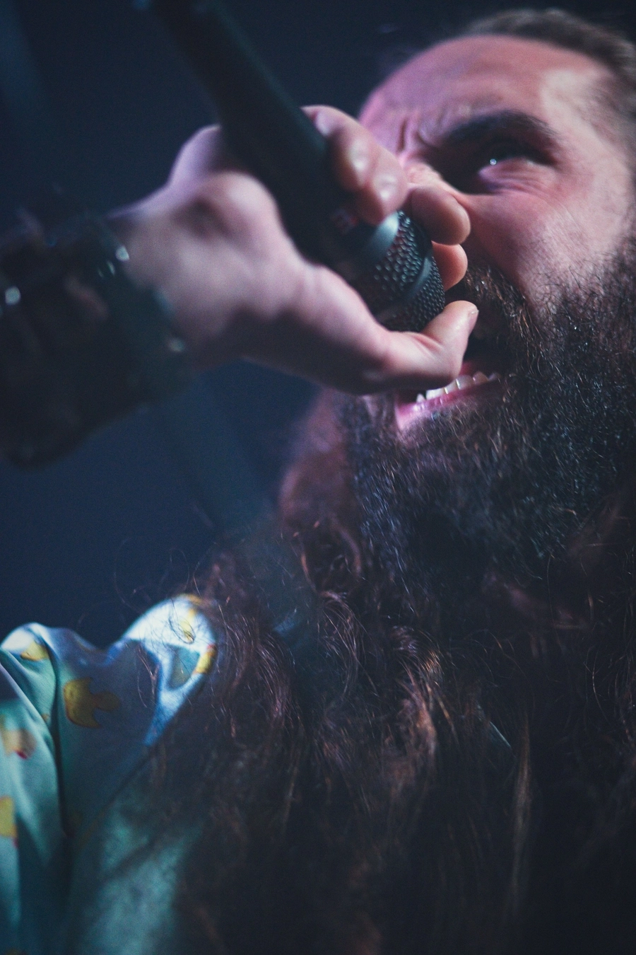 Concert | Mrwl