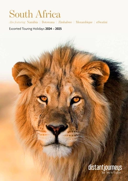 South Africa 2024 Brochure