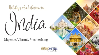 Holidays of a Lifetime PEAKS campaign (P-MAX videos)