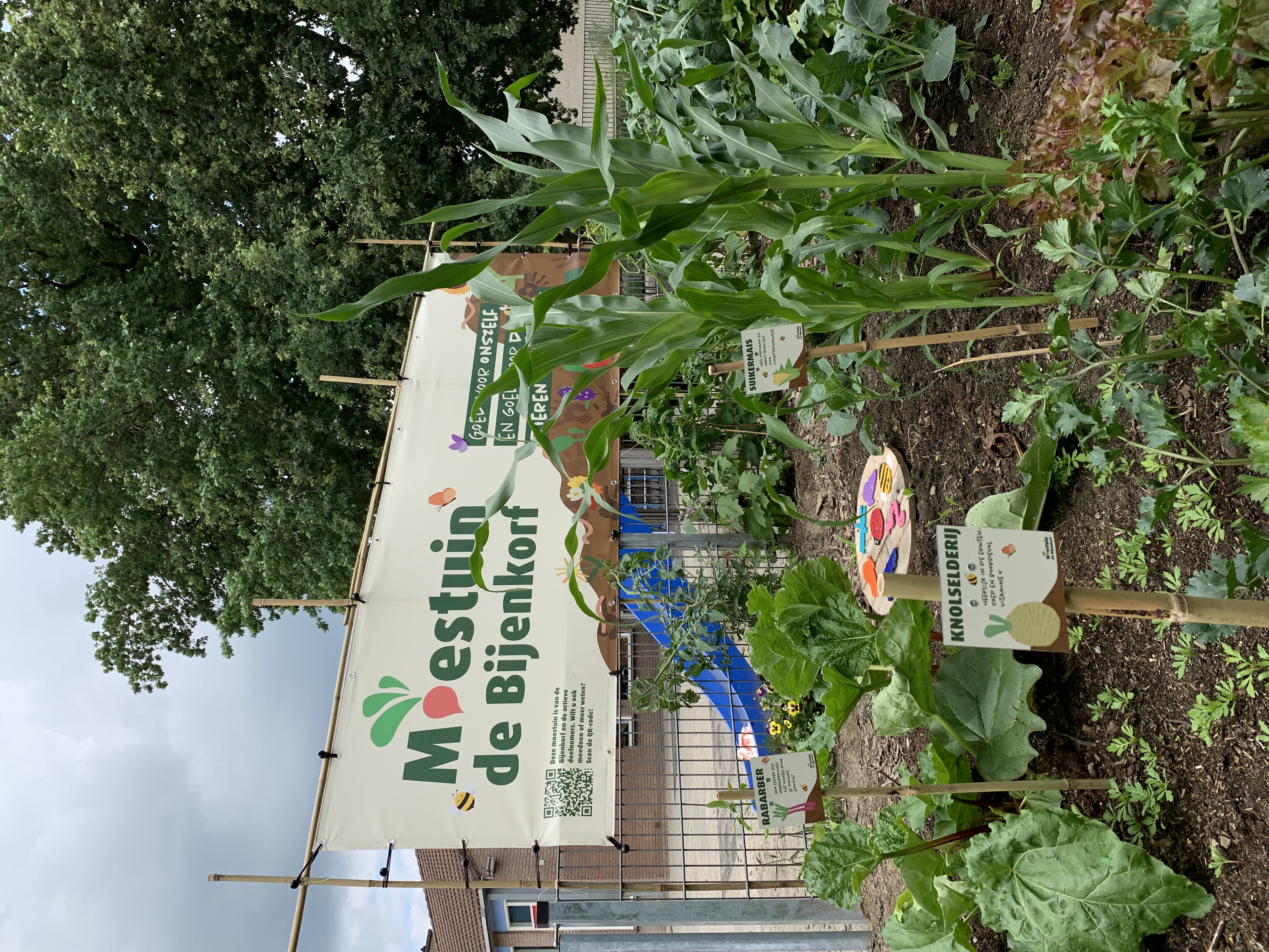 moestuin-houten-5.jpg
