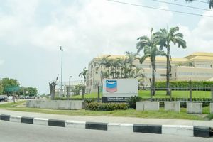 chevron lekki.jpg