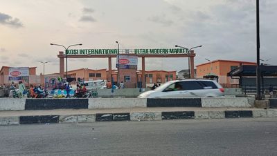 Ketu-Market-Lagos-Nigeria-TortoisePathcom.jpeg