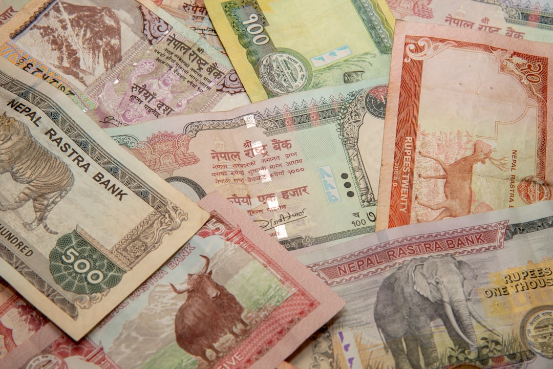 Naira Appreciates to N1,424.5 Against Dollar as FX Market Shows Signs of Stability