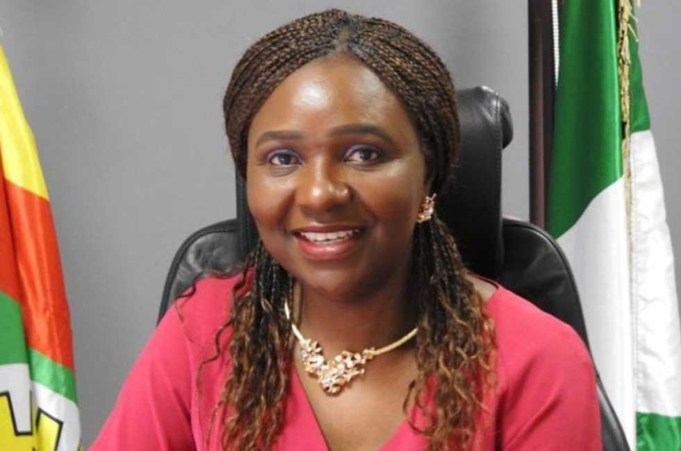 FG Seeks Global Investment for 50 Oil Blocks in 2025 Licensing Round