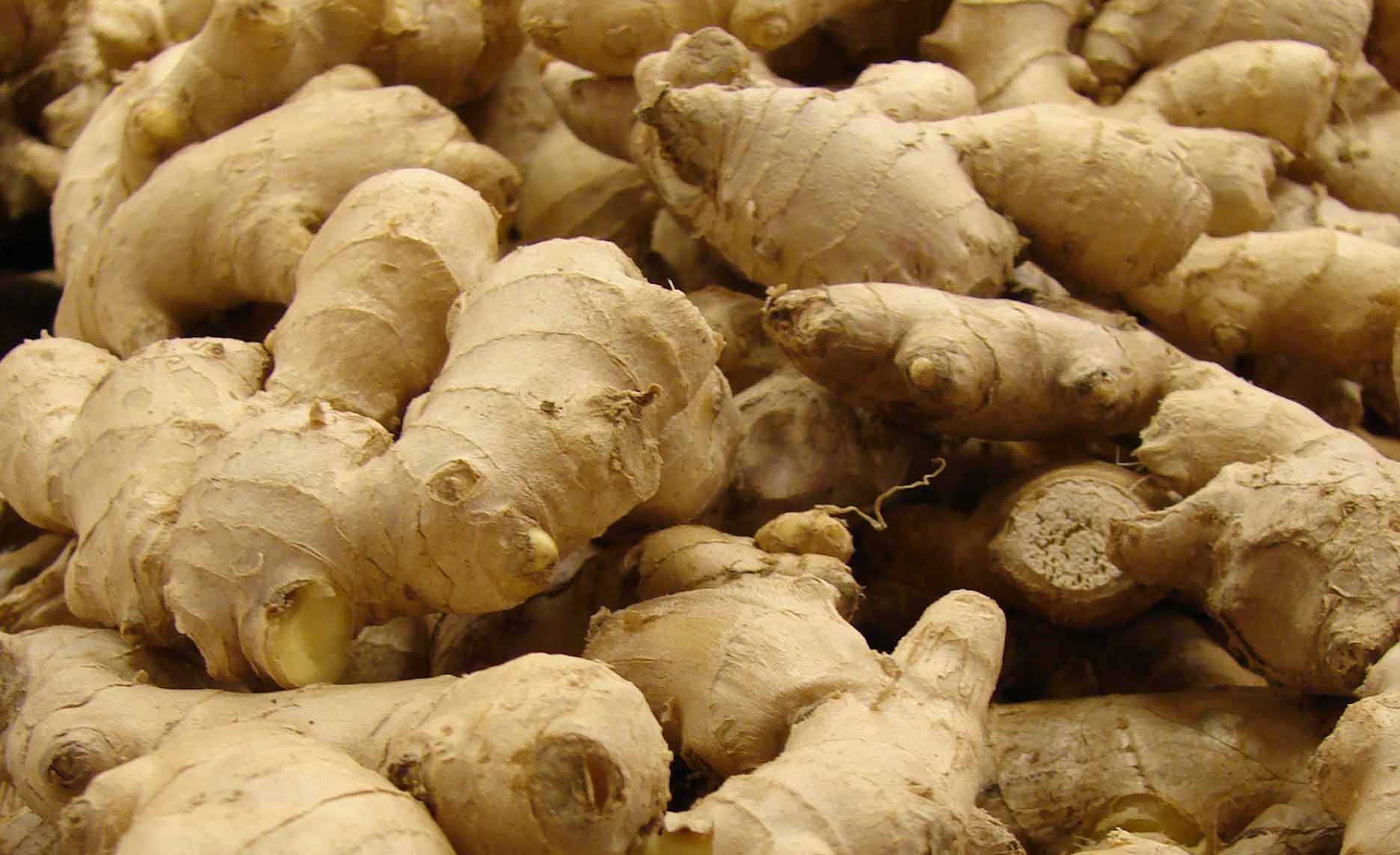 Nigeria's Agri-Sector Poised for Growth: Ginger Hub and Farm Estates Drive Transformation