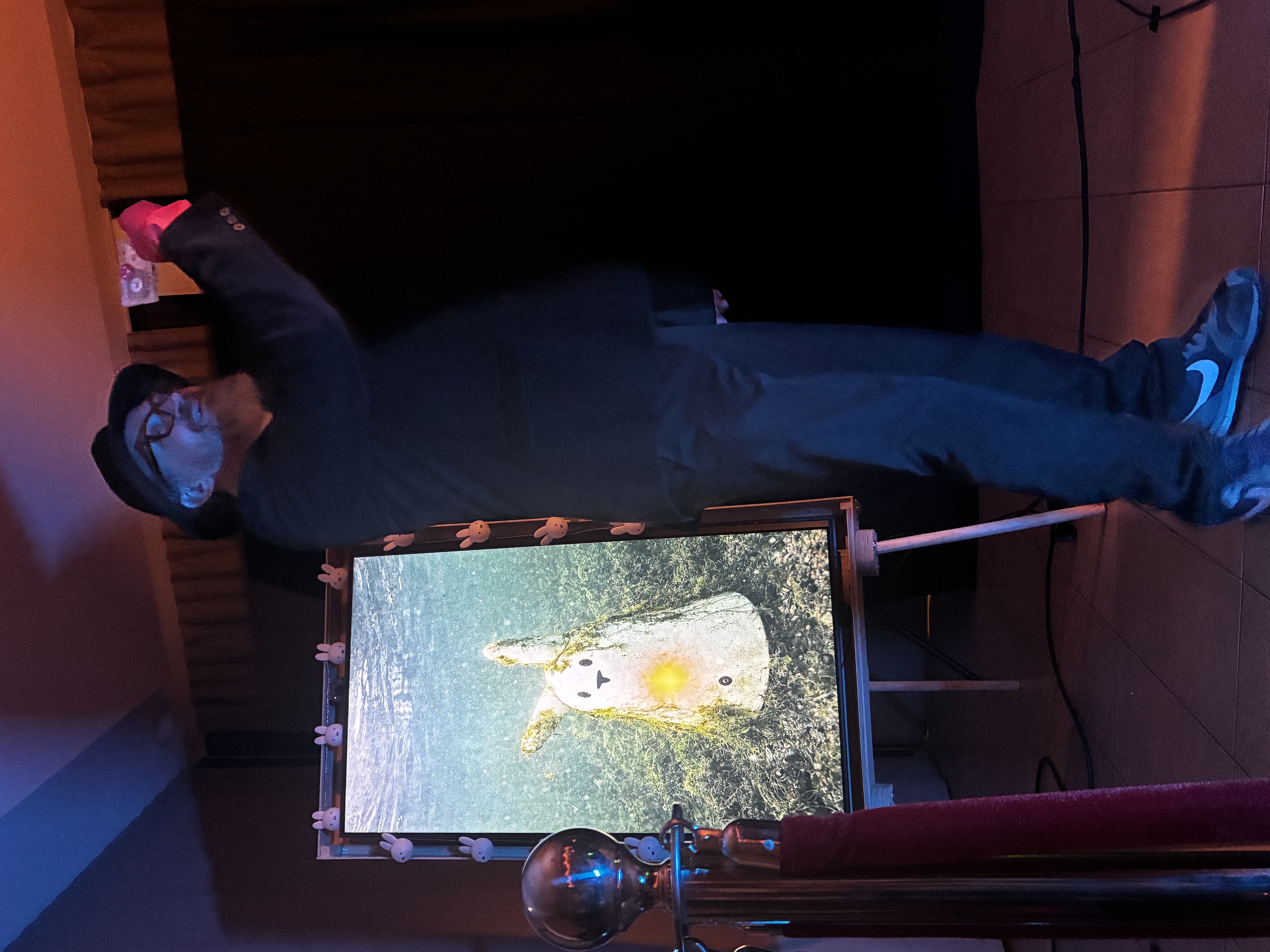 Mon Lap-1 & the useless machines 6