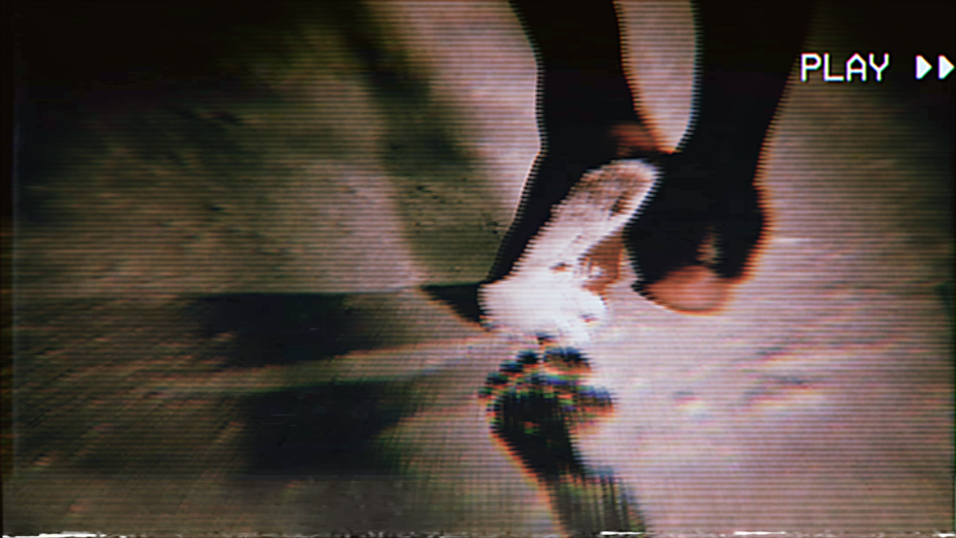 La terre dans le dos (livre)