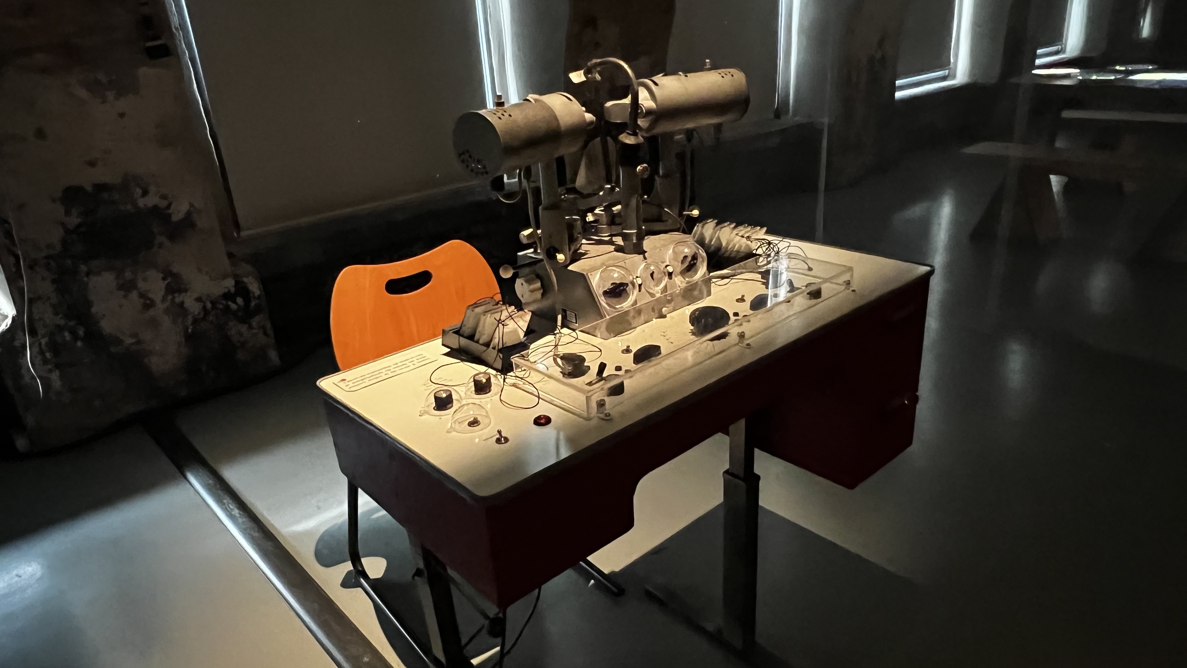 Anniversaires de jumelages de la ville de Lille 8