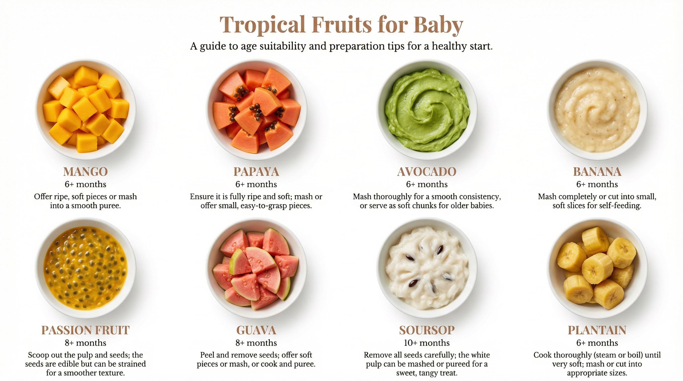 guide5_tropical_fruits_guide.png
