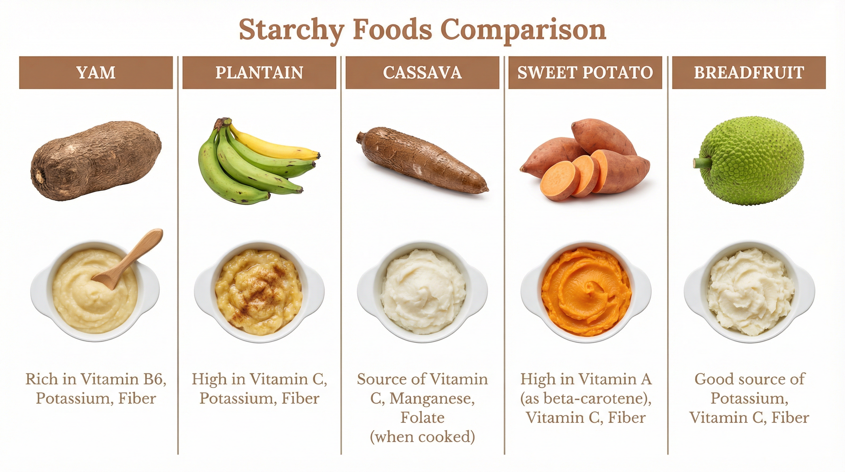 guide2_starchy_foods_comparison.png