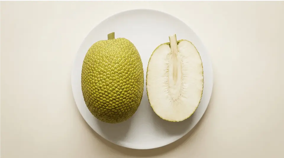 Breadfruit