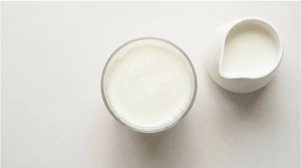 Cow's Milk