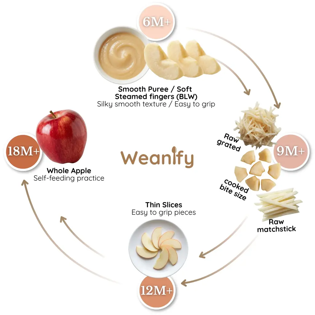 Apples food ring