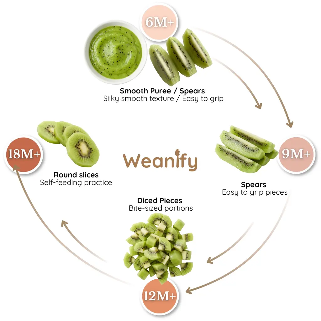 Kiwi food ring