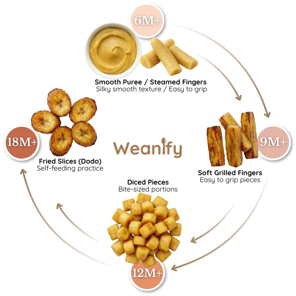 Plantain food ring