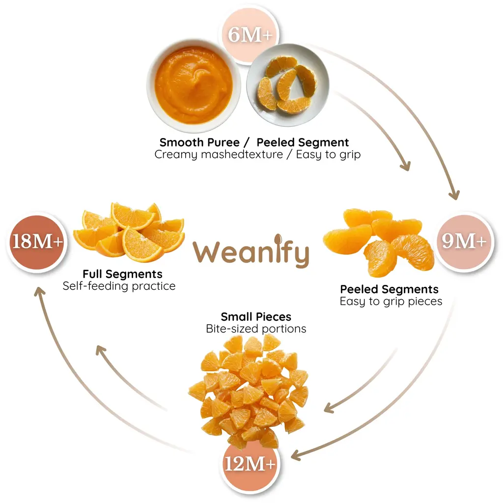 Oranges food ring