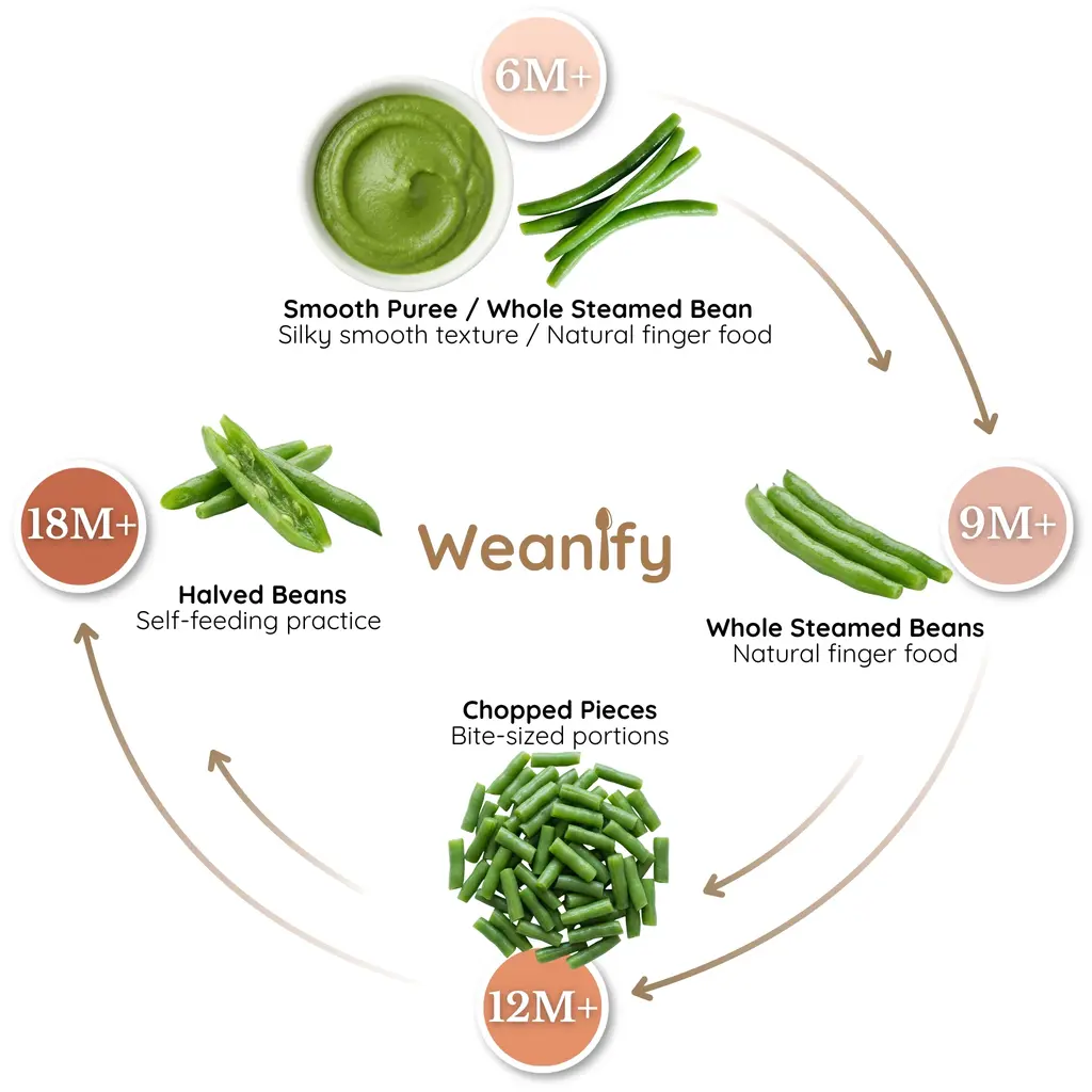 Green beans food ring
