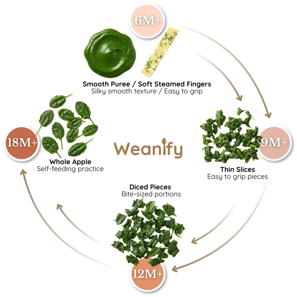 Spinach food ring