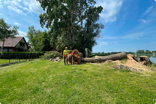 Irányított döntés