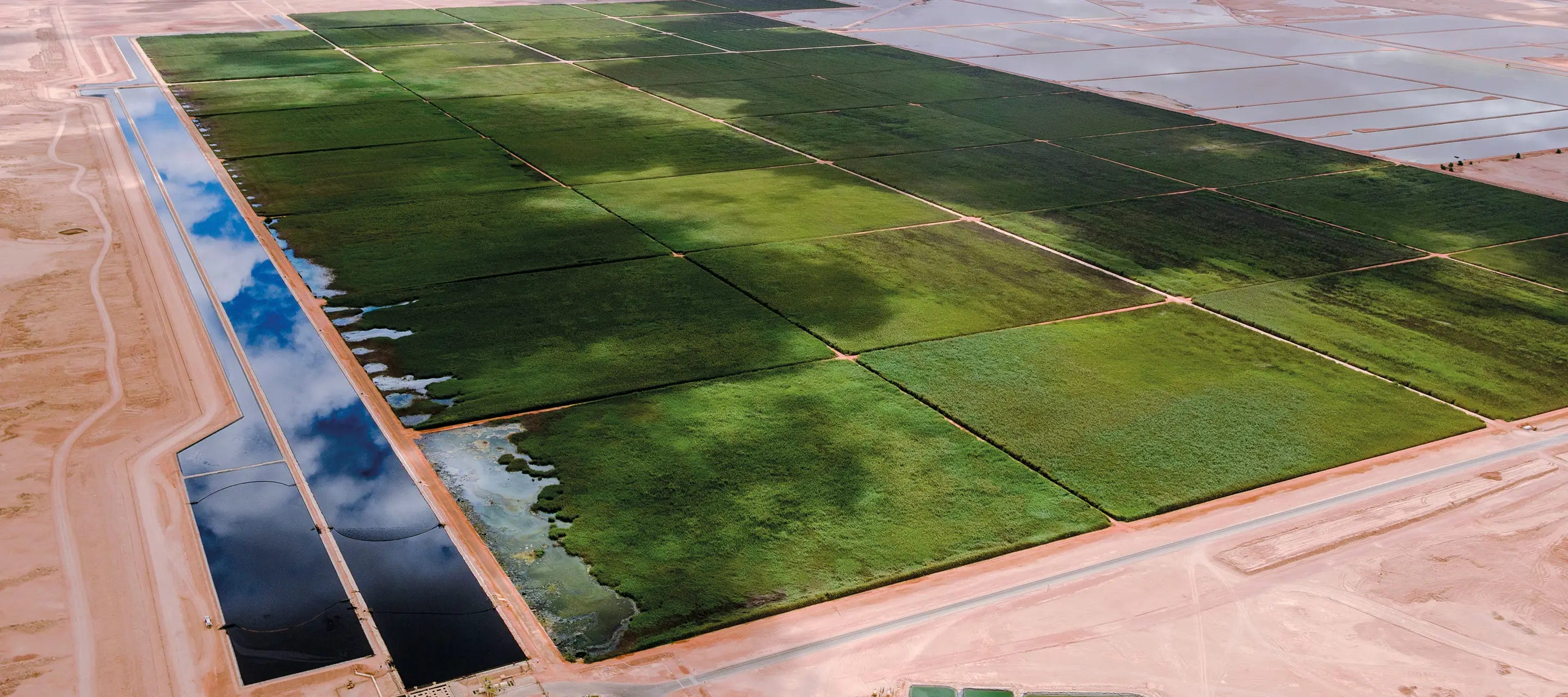 Image for insight: Why Your Next Role Could Be a Water Job