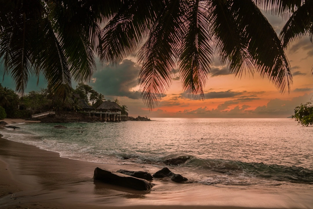 How to Get a Forex License in Seychelles?