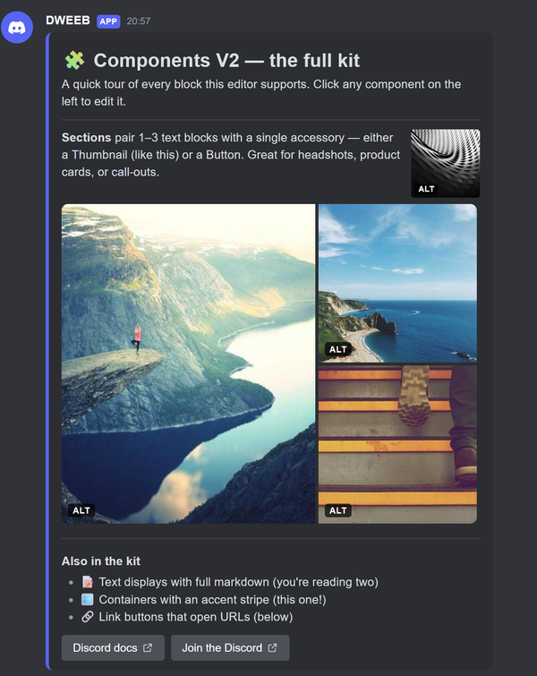 DWEEB being showcased by the developer, Faizo. The full kit describes all the elements that can be used to craft a polished Discord embed message.