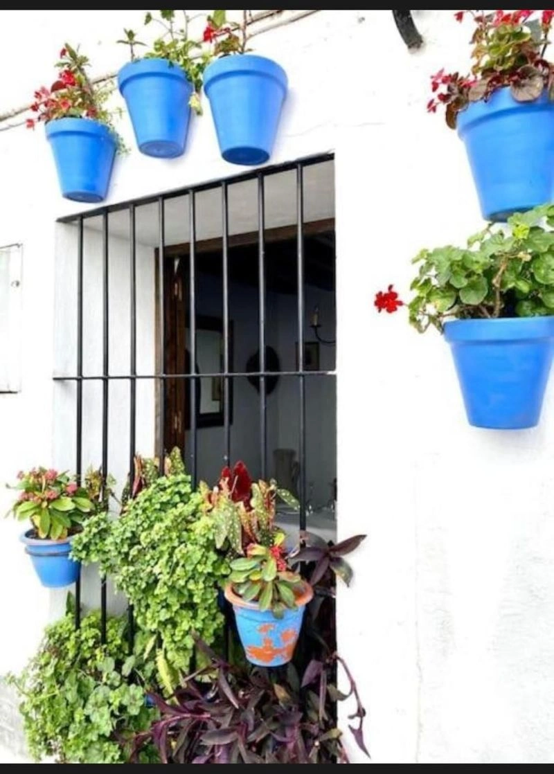 A Fireplace, a Fountain, and Four Bedrooms for €279,000 in Istán — image 19