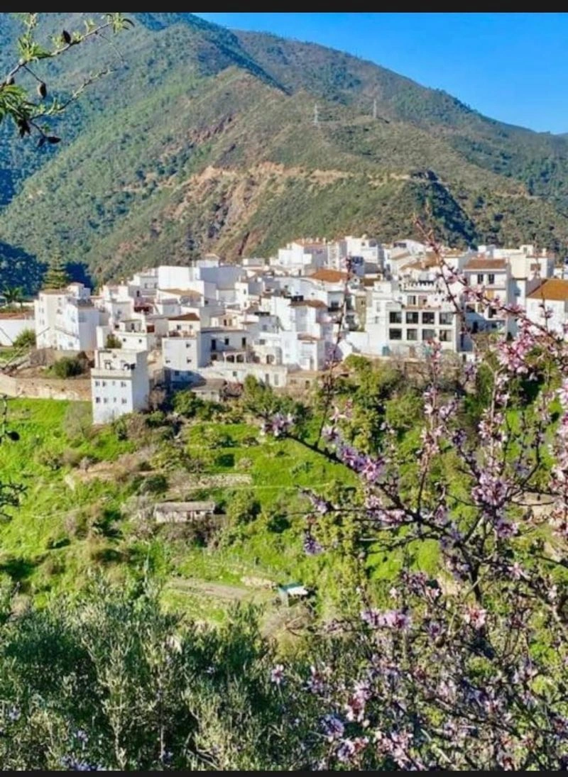 A Fireplace, a Fountain, and Four Bedrooms for €279,000 in Istán — image 21