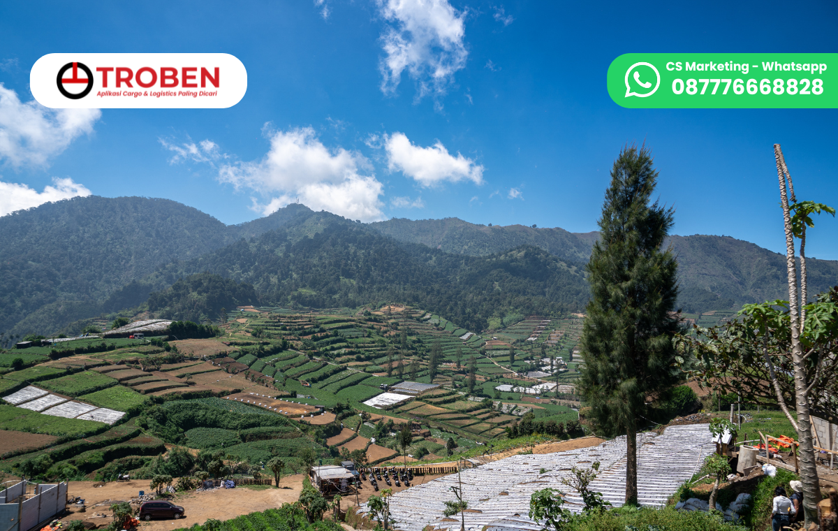 6 Tantangan Mengelola Homestay Dieng dalam Bisnis Penginapan